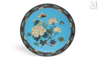 an image of a blue plate with flowers and butterflies on it