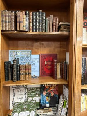 des livres posés sur une étagère en bois dans une bibliothèque où se trouvent de nombreux livres
