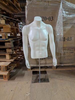 Buste masculin réaliste en matière synthétique finition blan…