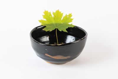 un petit bol noir contenant une feuille verte