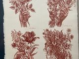 several drawings of flowers in vases on a piece of paper