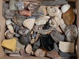 a cardboard box filled with rocks and other rocks