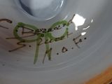 a close up of a plate with writing on it