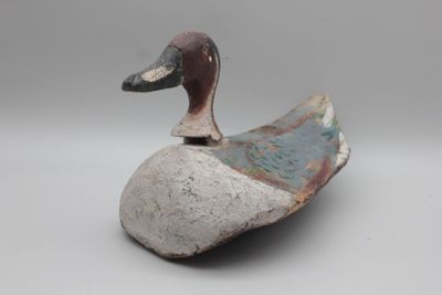 une image représentant un canard perché sur un rocher