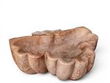 a stone bowl that is shaped like a clam shell