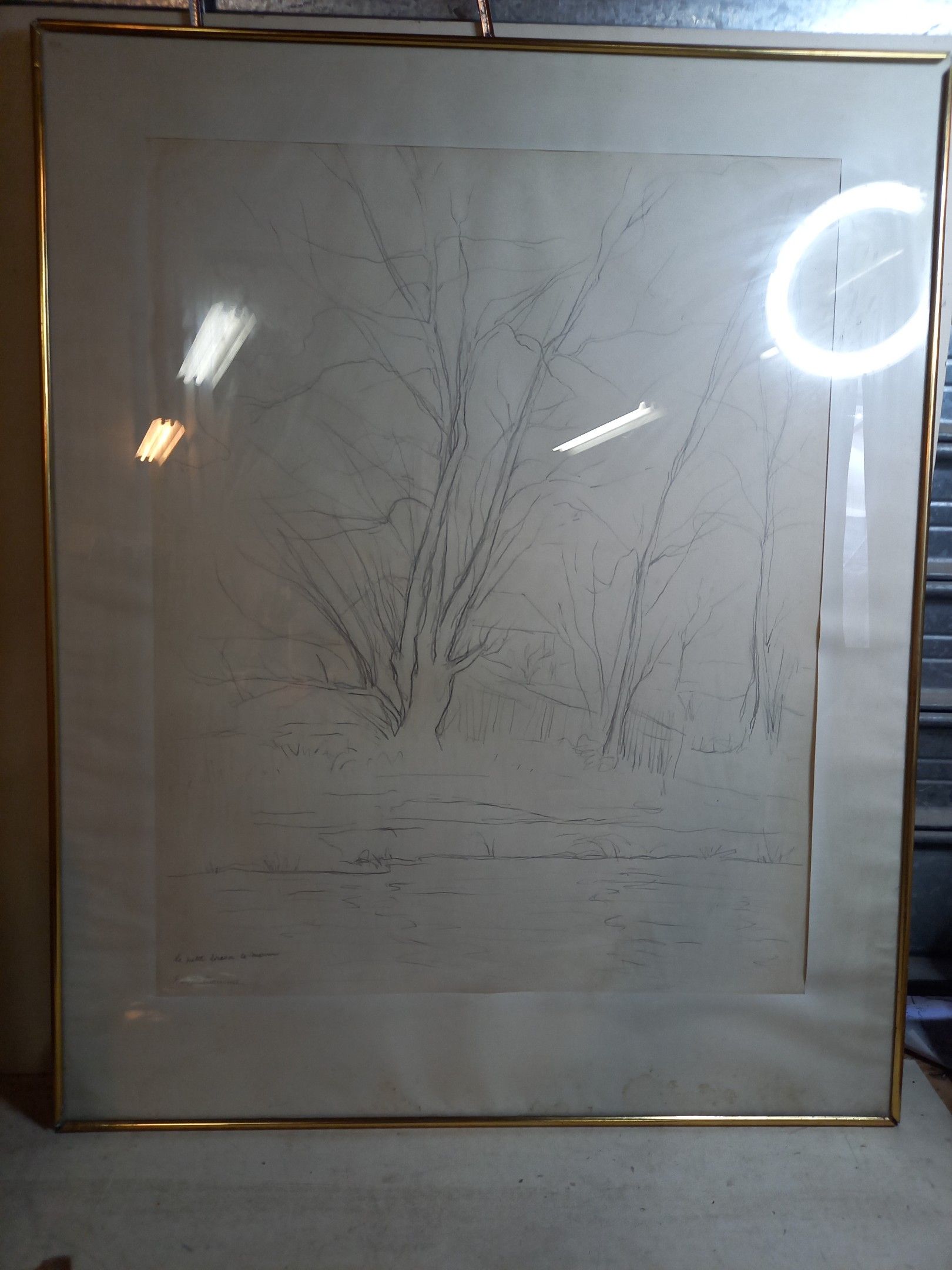 Objets d'art & Curiosités