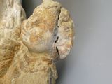 une statue représentant un oiseau perché sur une table