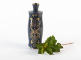 a black vase with a gold design next to a green leaf
