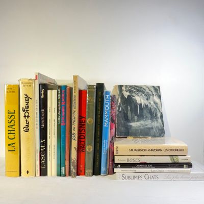 beaucoup de livres posés sur une étagère blanche