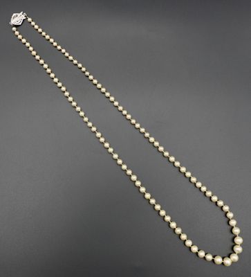 un collier de perles blanches avec un fermoir en argent