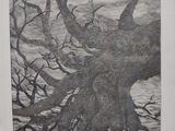 a black and white drawing of a tree in a frame