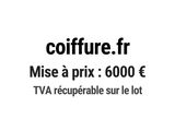 Photo 1/1 du lot