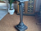 a black pedestal with a plant in the corner of the room
