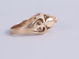 an image of a gold ring with leaves on it