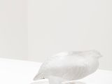 a glass bird sitting on top of a white pedestal