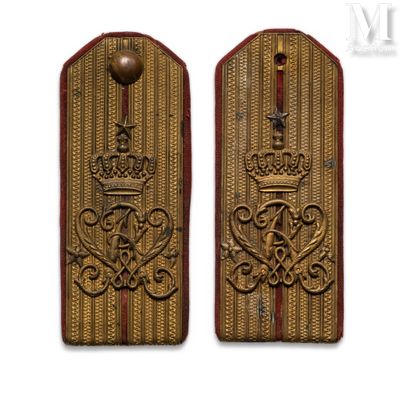 two military badges with a crown on them on a white background