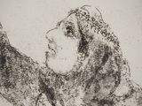 an ink drawing of a monkey reaching up for something