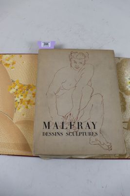 une image représentant un livre sur lequel figure le dessin d'une femme nue