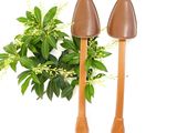 two wooden spoons that are sitting next to a plant