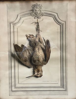 une photo d'un oiseau mort accrochée au mur