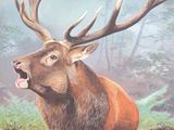 a picture of a painting of a deer and a herd of deer