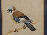 painting of a bird on a branch in a blue frame