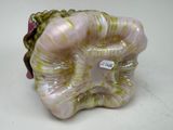 a figurine of a shell with a tag on it