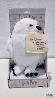 une chouette en peluche blanche posée dans une boîte sur laquelle est accrochée une pancarte