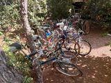 de nombreux vélos garés les uns à côté des autres dans les bois