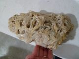 a person holding a piece of food in their hand