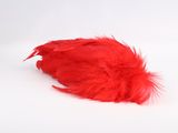 a red feather that is laying on a white surface
