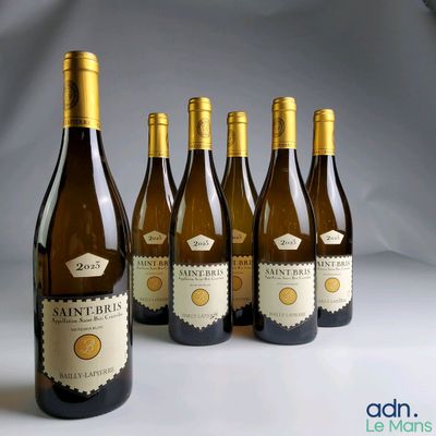 six bouteilles de vin sont alignées sur une table