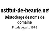 Photo 1/1 du lot