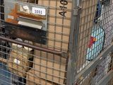 a large metal cage with boxes on top of it