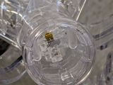 a close up view of a clear object with a bug on it