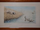 aquarelle encadrée représentant un chien et des canards dans un marais