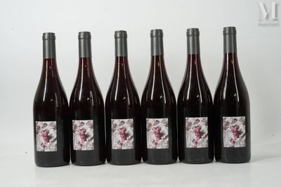 six bouteilles de vin rouge sont alignées