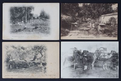 quatre vieilles photographies en noir et blanc représentant des chevaux et des personnes dans un champ