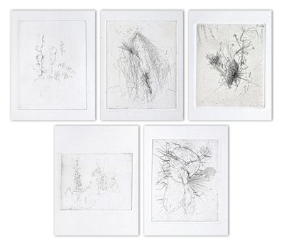 six dessins encadrés représentant des oiseaux et des fleurs sur un mur blanc