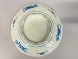 a blue and white plate with a dragon design on it