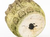 a close up of a rotten fruit on a white surface