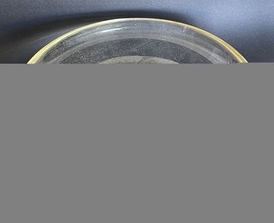 un gros plan d'une assiette posée sur une table