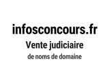 Photo 1/1 du lot