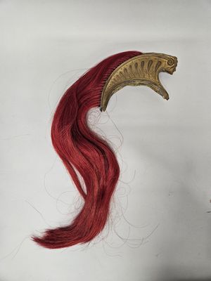 un dessin représentant un cheveu roux surmonté d'une coiffe dorée