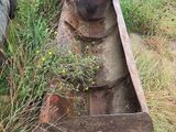 a horse that is standing next to a boat in the grass