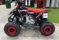 Quad enfant DIAMON Varex 110 cc, 7,1 cv, 4 temps - Véhicule … (photo 4)