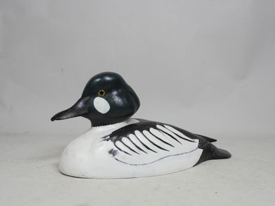 une image représentant un canard noir et blanc sur fond blanc