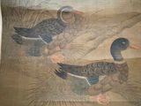 two ducks that are sitting in the grass