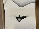 a drawing of a cat peeking out of a hole in a box