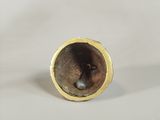 a close up of a gold ring with a black spider inside of it